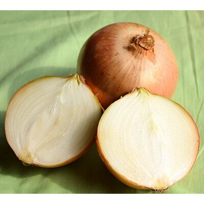 【ふるさと納税】【先行予約　9月中旬以降発送】佐藤農場のじゃがいも「とうや」5kgと玉葱10kgセット【配送不可地域：離島・沖縄県】【1414647】 - 画像3