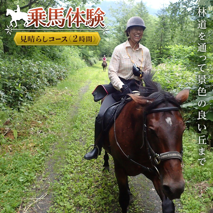 乗馬体験＜見晴らしコース＞ ( ふるさと納税 乗馬体験 チケット 乗馬 自然 馬 騎乗 レジャー 北海道 遠軽町 株式会社　まきば ) en01-00060