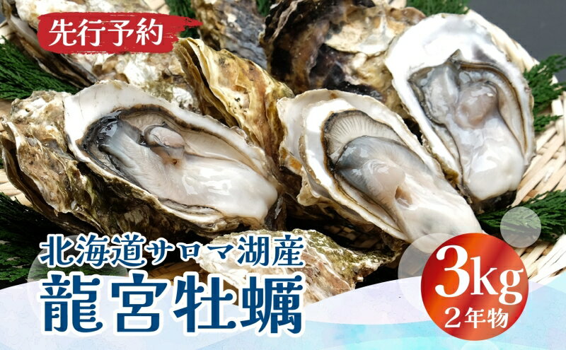 【ふるさと納税】先行予約 【国内消費拡大求む】先行予約 北海道 サロマ湖産 龍宮牡蠣 3kg（ 2年物 殻付き カキ ）カキナイフ付 牡蠣 海鮮 魚介 国産 貝付き 生牡蠣 生食 焼き牡蠣 蒸し牡蠣 冷蔵 産地直送 オホーツク 　お届け：2025年11月～12月15日 サムネイル2
