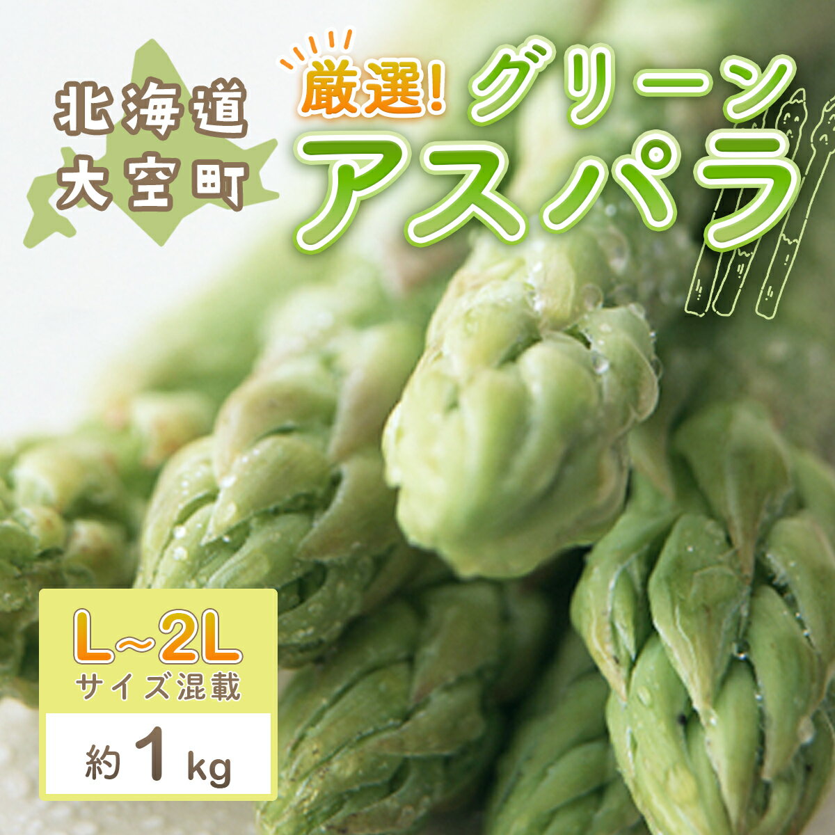 【2026年先行受付】厳選!グリーンアスパラ約1kg（L～2Lサイズ混載） ふるさと納税 アスパラ アスパラガス グリーンアスパラ 春野菜 野菜 旬 北海道 大空町 送料無料 OSA014