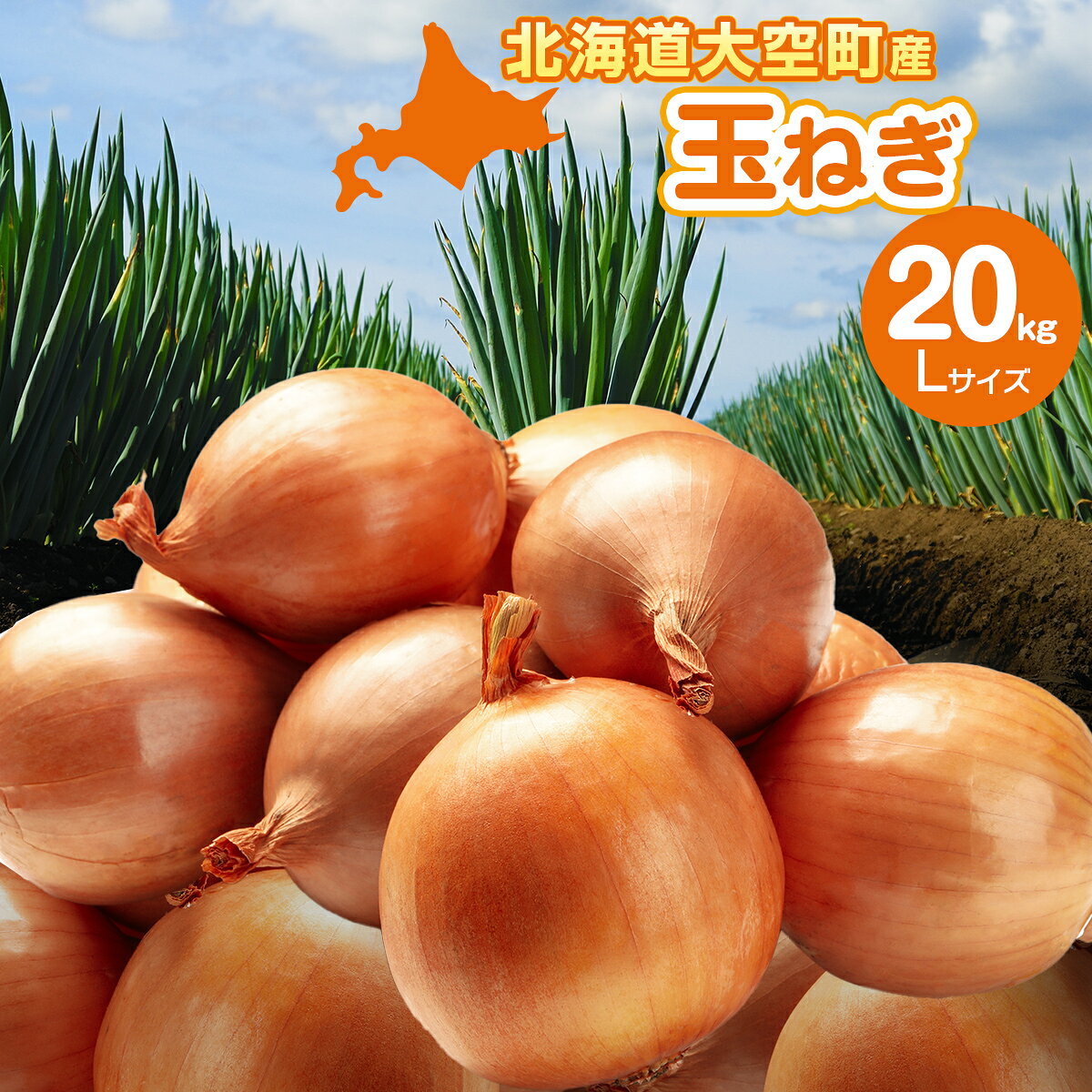 【先行予約】玉ねぎ Lサイズ 20kg 大空町産（2026年10月上旬より発送） 【 ふるさと納税 人気 おすすめ ランキング たまねぎ オニオン スライス サラダ 野菜 スープ 肉じゃが ハンバーグ 甘い カレー 新鮮 北海道産 野菜 北海道 大空町 送料無料 】 OSR009