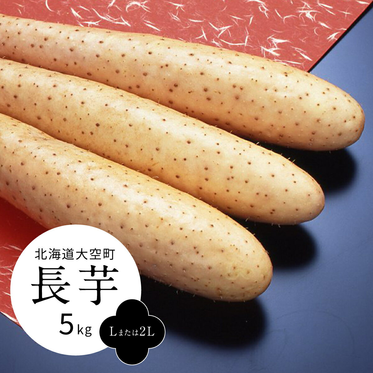 長芋5kg（Lまたは2L） 【 ふるさと納税 人気 おすすめ ランキング ながいも 長芋 ながいも いも 芋 北海道 大空町 送料無料 】 OSM007