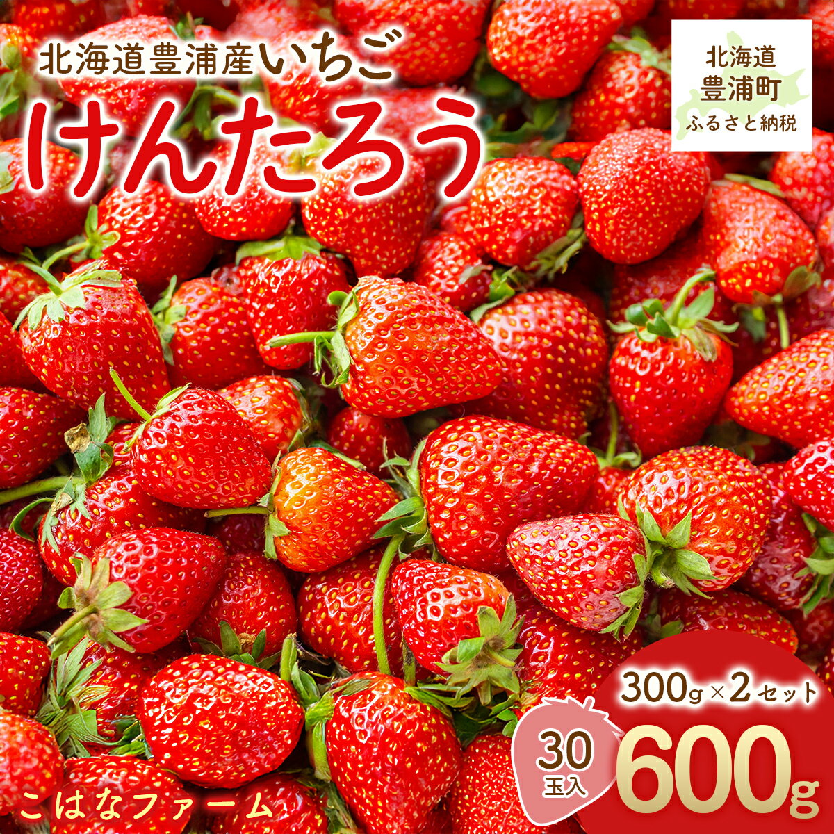 【2026年5月順次発送】北海道産 豊浦いちご けんたろう 30玉入り 300g×2セット【 ふるさと納税 人気 おすすめ ランキング 果物 いちご苺 イチゴ 国産いちご 国産苺 けんたろう セット おいしい 美味しい 北海道 豊浦町 送料無料 】 TYUAG001