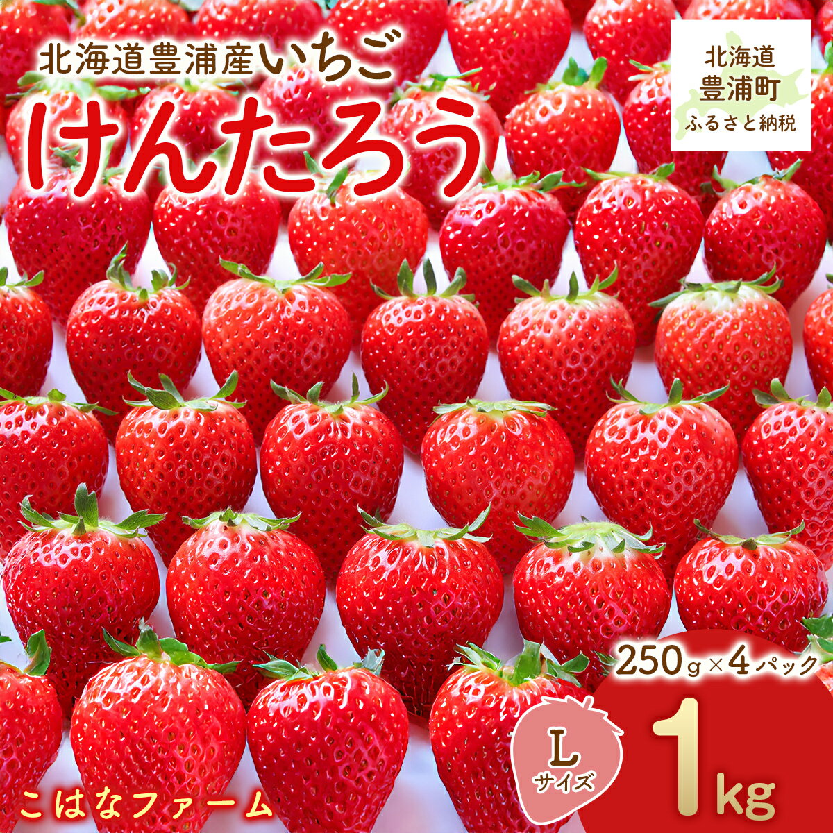 【2026年5月順次発送】道内発送限定　北海道産 豊浦いちご けんたろう Lサイズ 250g×4パック入り【 ふるさと納税 人気 おすすめ ランキング 果物 いちご苺 イチゴ 国産いちご 国産苺 けんたろう セット 美味しい 北海道 豊浦町 送料無料 】 TYUAG002