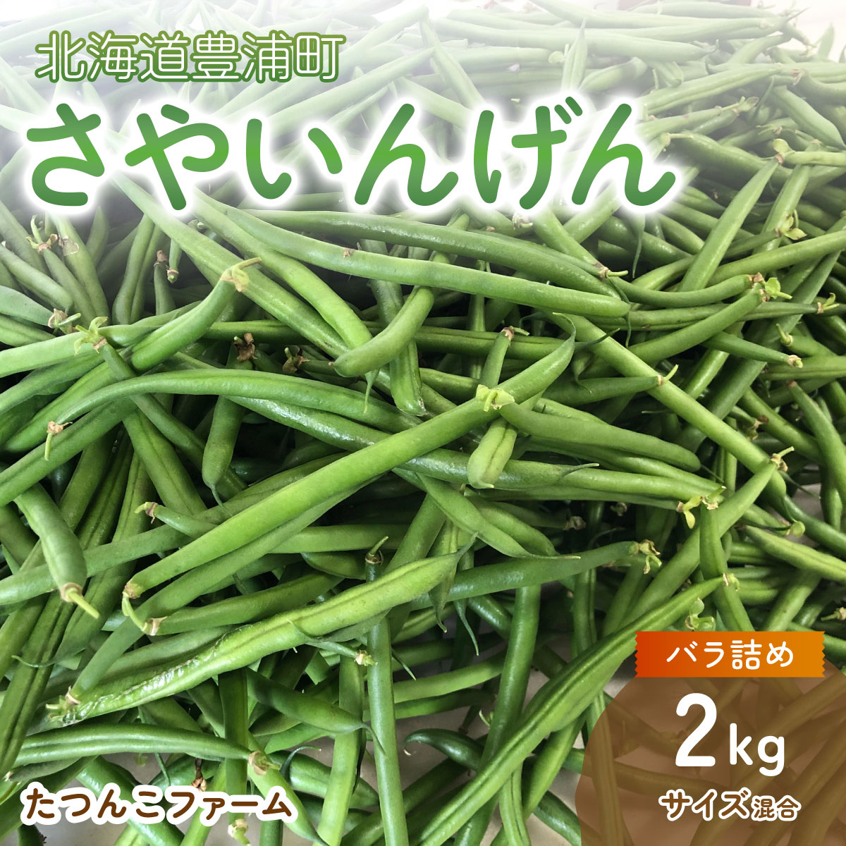 【2026.7月以降順次出荷】さやいんげん 2kg バラ詰め サイズ混合 北海道 豊浦町 【 ふるさと納税 人気 おすすめ ランキング 野菜 根菜 いんげん インゲン 国産 バラ 詰合せ 混合 おいしい 美味しい 北海道 豊浦町 送料無料 】 TYUF002