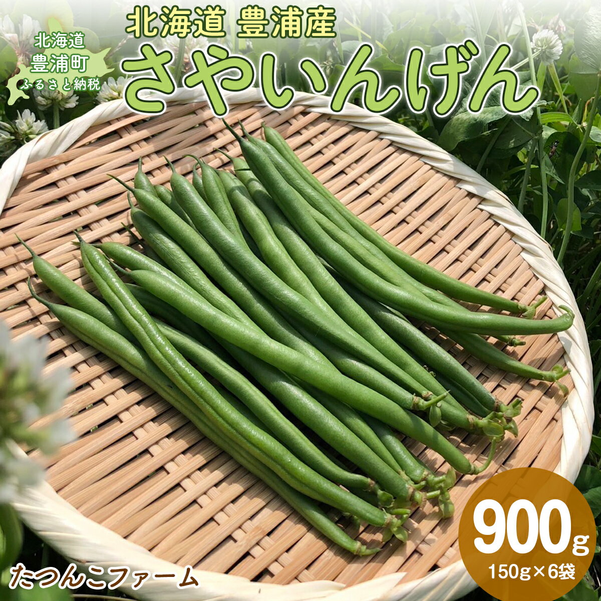 【2026年7月以降順次出荷】さやいんげん 150g×6袋 北海道 豊浦町【 ふるさと納税 人気 おすすめ ランキング 野菜 根菜 いんげんインゲン国産 バラ 詰合せ 混合 おいしい 美味しい 甘い 北海道 豊浦町 送料無料 】 TYUF006