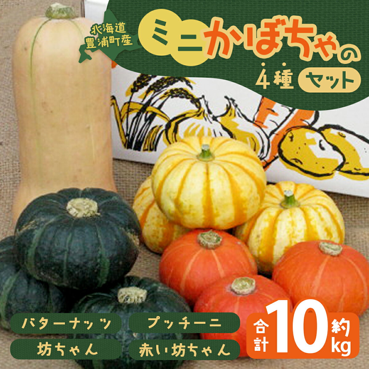 【2026年8月下旬以降順次発送】ミニかぼちゃのセット（4種） 約10kg バターナッツ プッチーニ 北海道 豊浦町産【 ふるさと納税 人気 おすすめ ランキング かぼちゃ 南瓜 バター ナッツ セット おいしい 美味しい 甘い 北海道 豊浦町 送料無料 】 TYUH001