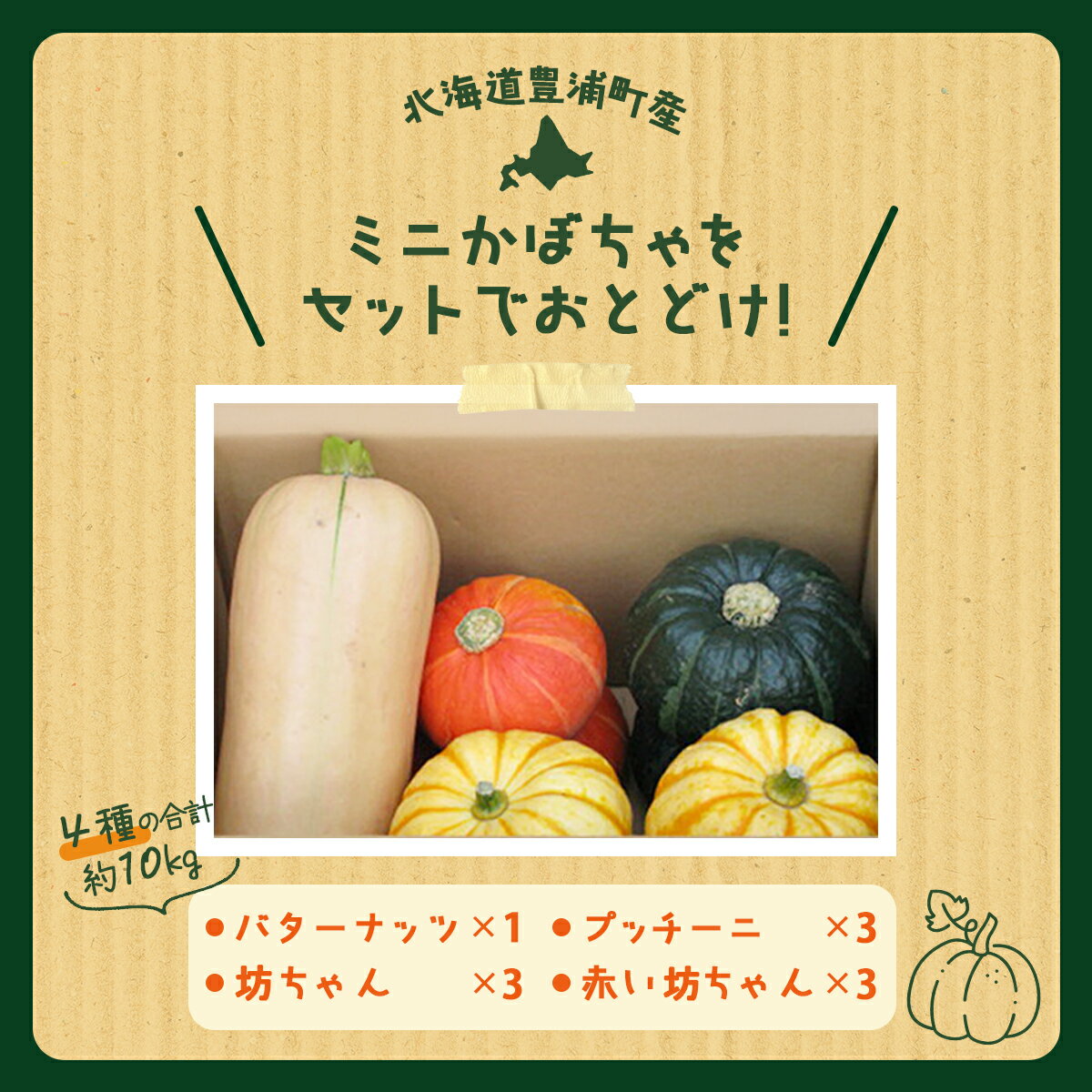 【ふるさと納税】【2026年8月下旬以降順次発送】ミニかぼちゃのセット（4種） 約10kg バターナッツ プッチーニ 北海道 豊浦町産【 ふるさと納税 人気 おすすめ ランキング かぼちゃ 南瓜 バター ナッツ セット おいしい 美味しい 甘い 北海道 豊浦町 送料無料 】 TYUH001 - 画像2