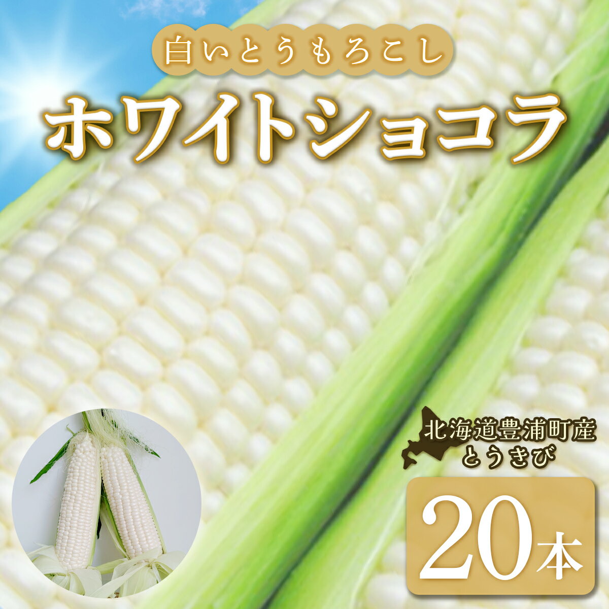 【2026年8月下旬以降順次発送】ホワイトショコラ　白いとうもろこし 20本 北海道 豊浦町産 とうきび 【 ふるさと納税 人気 おすすめ ランキング 野菜 とうもろこし 国産 ホワイト ショコラ とうきび おいしい 美味しい 北海道 豊浦町 送料無料 】 TYUH003