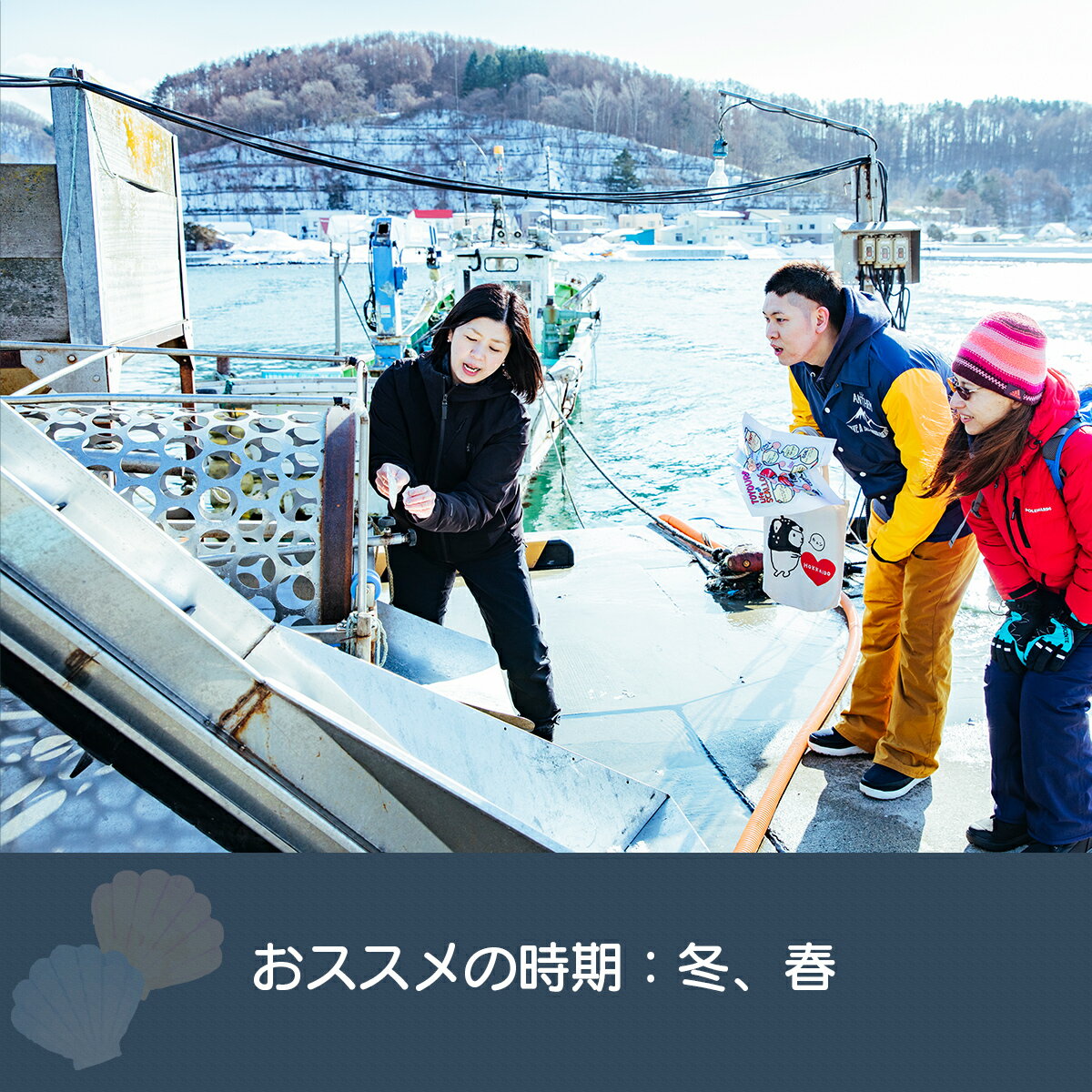 【ふるさと納税】あなたの知らないホタテの世界（4人用） 【 ふるさと納税 人気 おすすめ ランキング 体験 イベント ホタテ 見学 養殖 漁師 4人 北海道 豊浦町 送料無料 】 TYUL016 サムネイル3