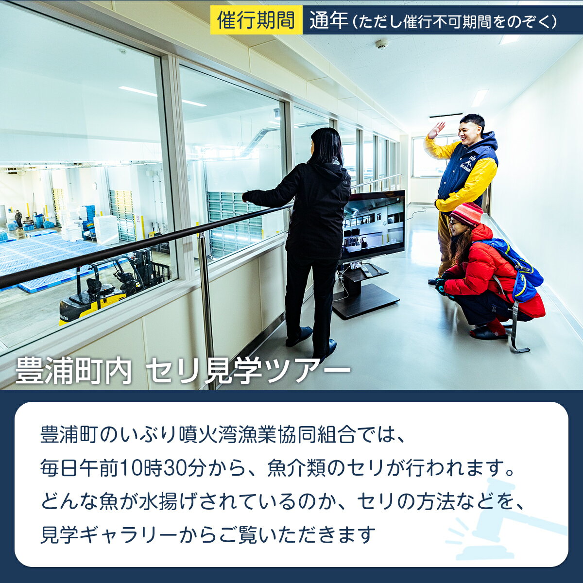 【ふるさと納税】 【豊浦町内】セリ見学ツアー（5人用） 【 ふるさと納税 人気 おすすめ ランキング 体験 イベント 魚介 セリ 水揚げ 見学 5人 北海道 豊浦町 送料無料 】 TYUL025 サムネイル2