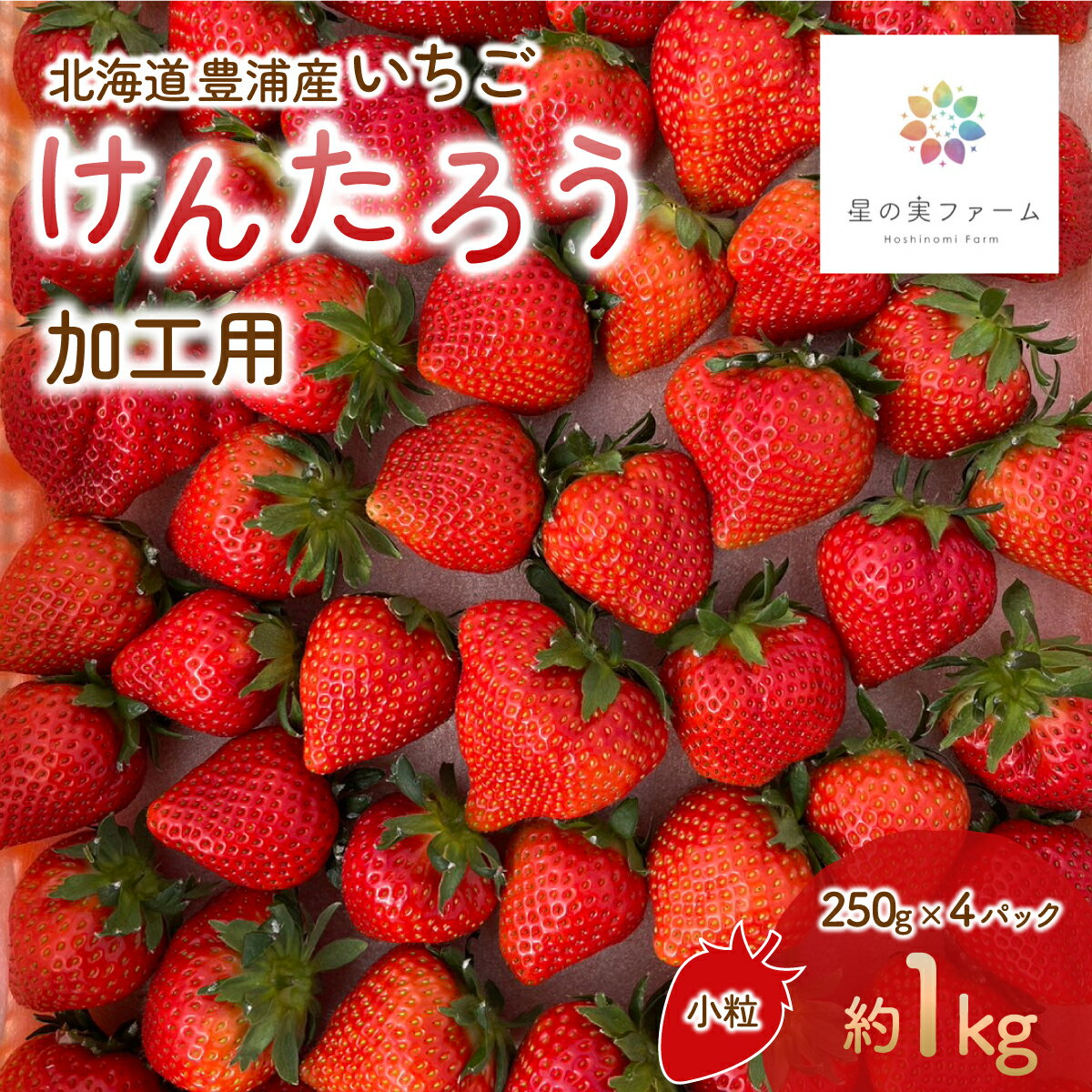 【2026.4月下旬以降順次出荷】北海道 豊浦 いちご 加工用 小粒 けんたろう 250g×4パック1箱 約1kg 【 ふるさと納税 人気 おすすめ ランキング 果物 いちごイチゴ 苺 けんたろう パック おいしい 美味しい 北海道 豊浦町 送料無料 】 TYUW003