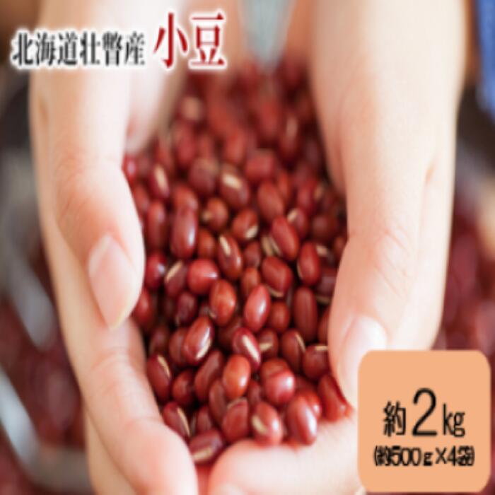 北海道壮瞥産　小豆　約2kg（約500g×4袋）【 ふるさと納税 人気 おすすめ ランキング 北海道 壮瞥 小豆 あずき 豆 あずき茶 赤飯 贈り物 贈物 贈答 ギフト 大容量 詰合せ セット 北海道 壮瞥町 送料無料】 SBTA038