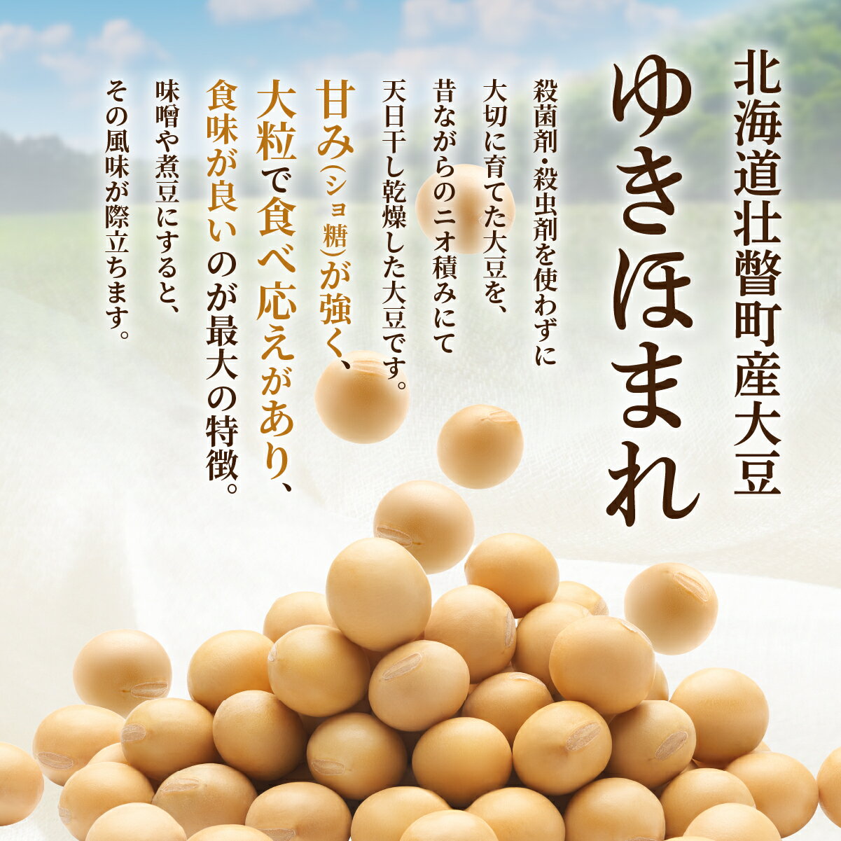 【ふるさと納税】大豆 ゆきほまれ 選べる1kg～10kg 北海道 壮瞥町産 【 ふるさと納税 人気 おすすめ ランキング 国産 安心 安全 煮豆 納豆 味噌 豆腐 豆乳 北海道 壮瞥町 送料無料 】 - 画像2