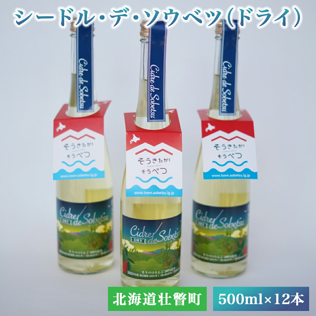 シードル・デ・ソウベツ（ドライ）500ml×12本 【 ふるさと納税 人気 おすすめ ランキング 北海道 壮瞥 りんご 林檎 リンゴ アップル 果汁 100% アルコール 酒 辛口 ドライ 贈り物 贈物 贈答 ギフト 大容量 詰合せ 北海道 壮瞥町 送料無料 】 SBTA023