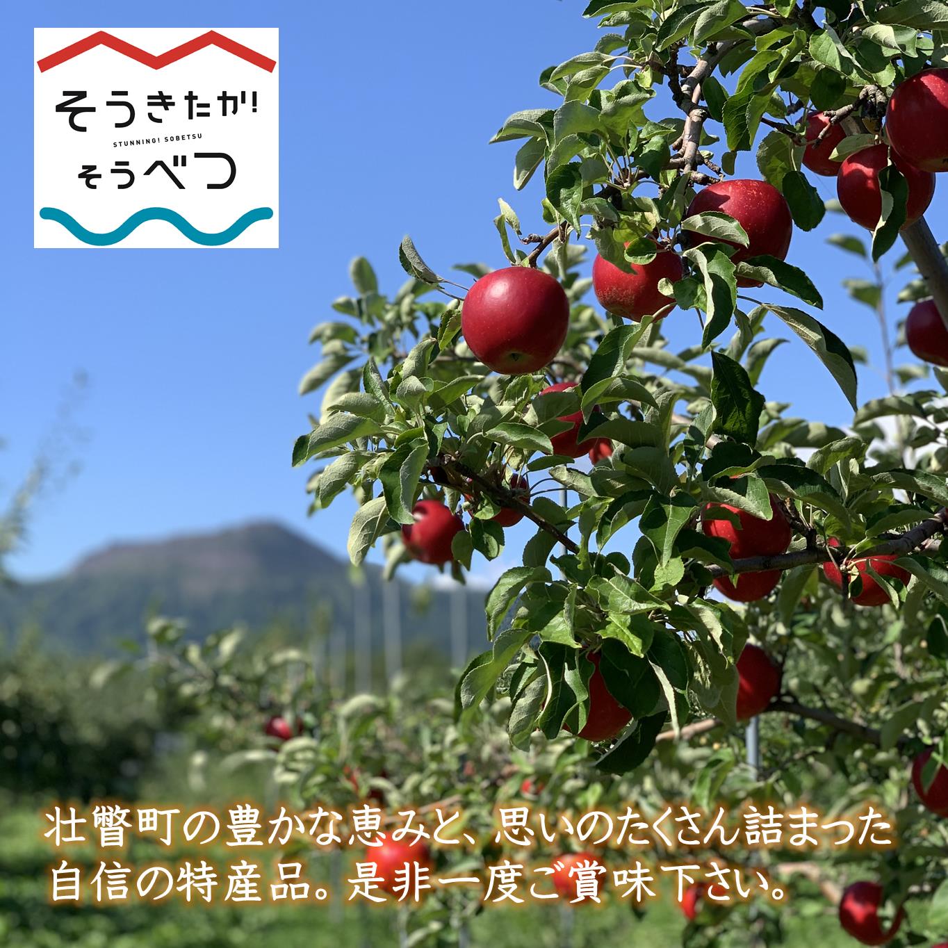 【ふるさと納税】シードル・デ・ソウベツ(スウィート)2本セット　※そうべつ産りんご100%使用 【 ふるさと納税 人気 おすすめ ランキング 北海道 壮瞥 りんご 林檎 リンゴ アップル アルコール 酒 甘口 スイート 贈り物 贈答 セット 北海道 壮瞥町 送料無料 】 SBTA040 サムネイル3