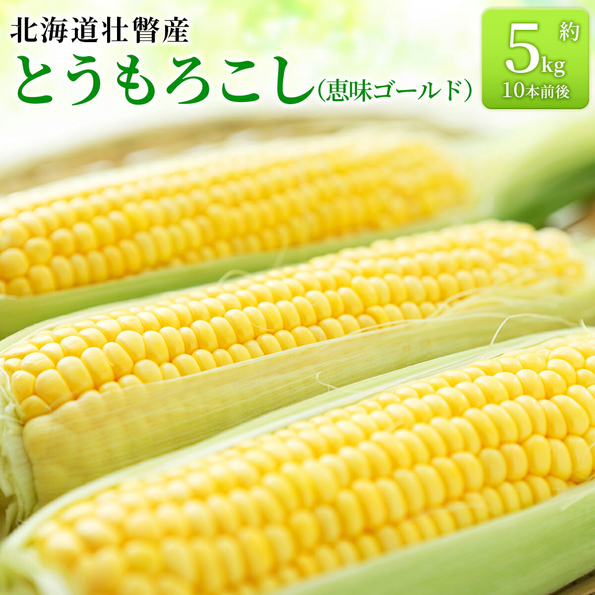 ＜2026年8月上旬より順次お届け＞北海道壮瞥産 とうもろこし（恵味ゴールド）約5kg 【 ふるさと納税 人気 おすすめ ランキング 北海道 壮瞥 先行予約 とうもろこし トウモロコシ 野菜 大容量 詰合せ セット 北海道 壮瞥町 送料無料 】SBTA001