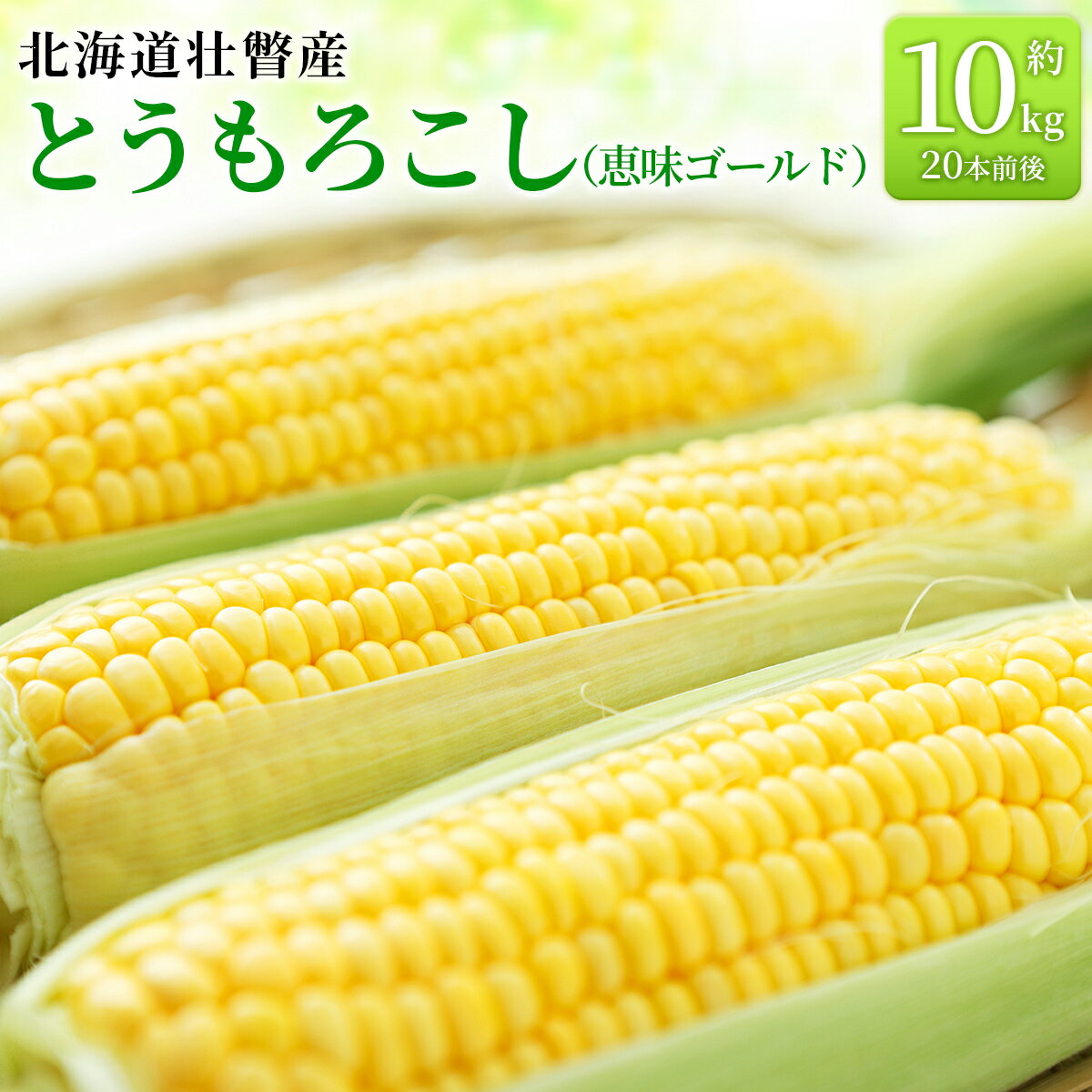 ＜2026年8月上旬より順次お届け＞北海道壮瞥産 とうもろこし（恵味ゴールド）約10kg 【 ふるさと納税 人気 おすすめ ランキング 北海道 壮瞥 先行予約 とうもろこし 贈り物 贈物 贈答 ギフト 大容量 詰合せ セット 北海道 壮瞥町 送料無料 】SBTA032