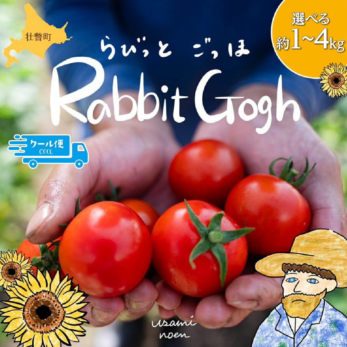（2026年予約）極旨トマトクール便 北海道壮瞥町産 ラビットゴッホ 選べる 約1kg ～ 約4kg 中玉トマト 【人気 トマト 野菜 ラビットゴッホ 中玉トマト フルーツトマト フルーツ ミニトマト 甘い 糖度 美味しい 完熟 グルメ 送料無料】 SBTAJ001