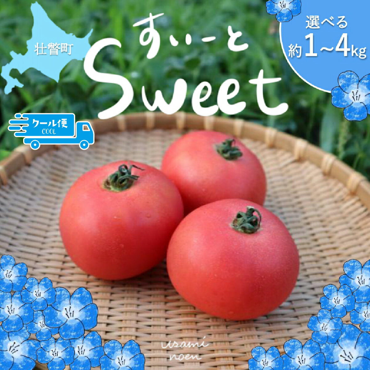 （2026年予約）極旨トマトクール便 北海道壮瞥町産 スイート 中玉トマト 選べる 約1kg ～ 約4kg 【人気 トマト とまと 野菜 スイート 中玉トマト フルーツトマト フルーツ ミニトマト 甘い 糖度 美味しい 完熟 グルメ 北海道 壮瞥町 送料無料 】 SBTAJ016