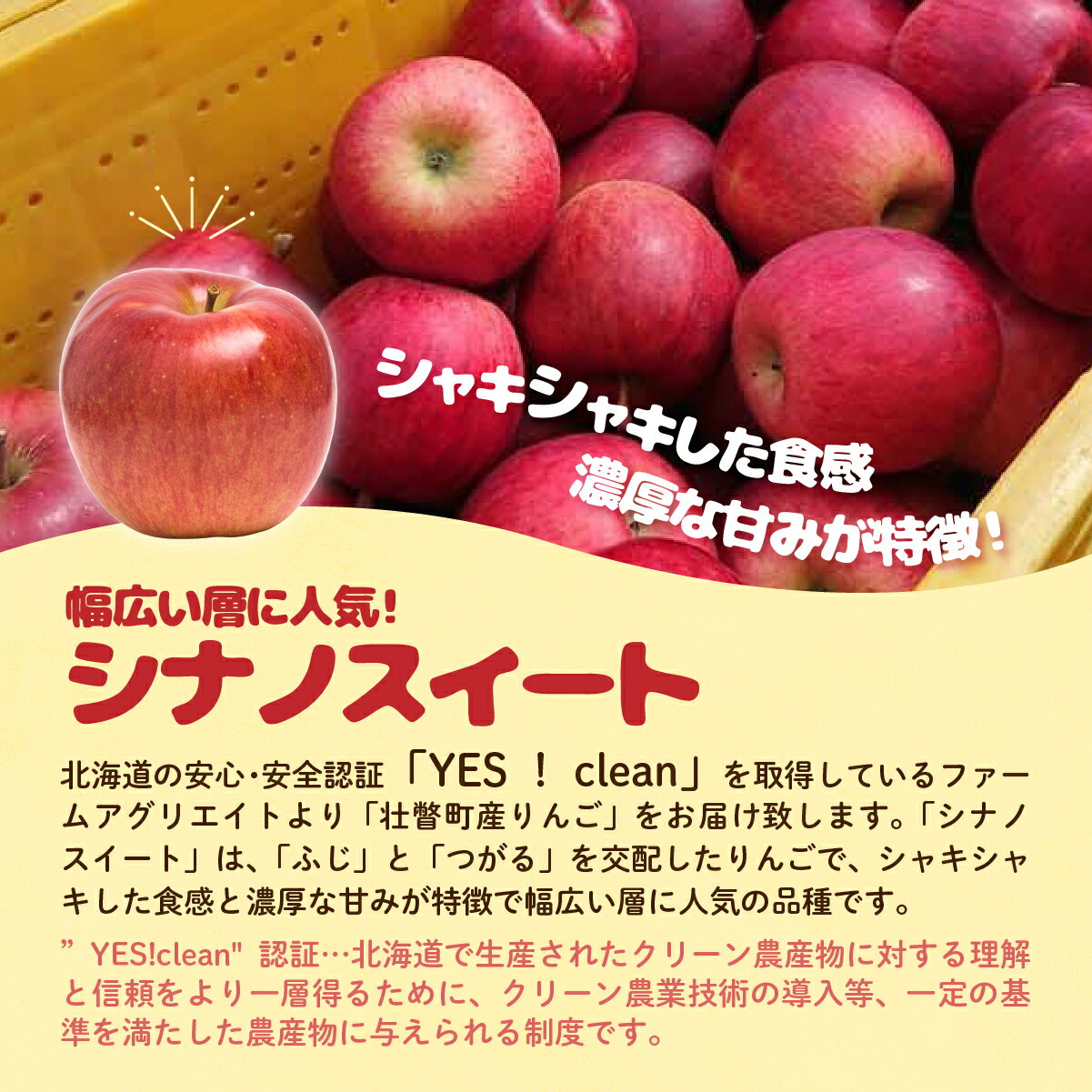 【ふるさと納税】ファームアグリエイトのりんご「シナノスイート」 約5kg（16～20玉） ふるさと納税 人気 おすすめ ランキング 北海道 壮瞥 りんご 蜜入り 5kg ふじ シナノスイート 甘い 果物 おいしい 贈り物 贈物 贈答 ギフト 大容量 詰合せ セット 送料無料 SBTB013 サムネイル2