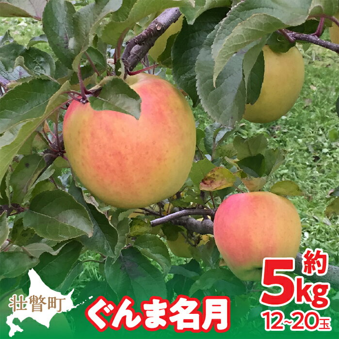 ＜2025年11月中旬よりお届け＞北海道壮瞥町 りんご「ぐんま名月」12〜20玉約5kg 【 ふるさと納税 人気 おすすめ ランキング りんご リンゴ 林檎 ぐんま名月 甘い 蜜 北海道 壮瞥町 送料無料 】SBTF013