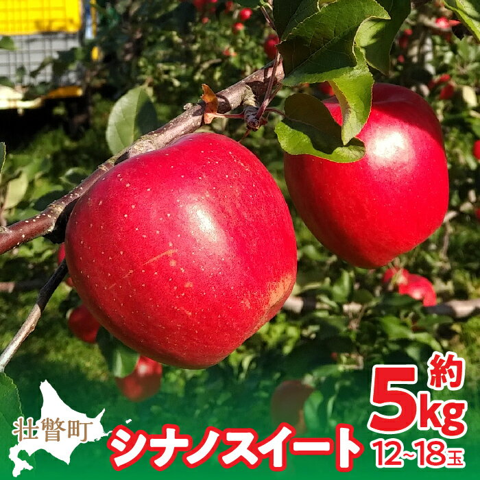 ＜2025年10月下旬よりお届け＞北海道壮瞥町 りんご「シナノスイート」12~18玉約5kg 【 ふるさと納税 人気 おすすめ ランキング りんご リンゴ 林檎 シナノスイート 甘い ジューシー 北海道 壮瞥町 送料無料 】 SBTF012