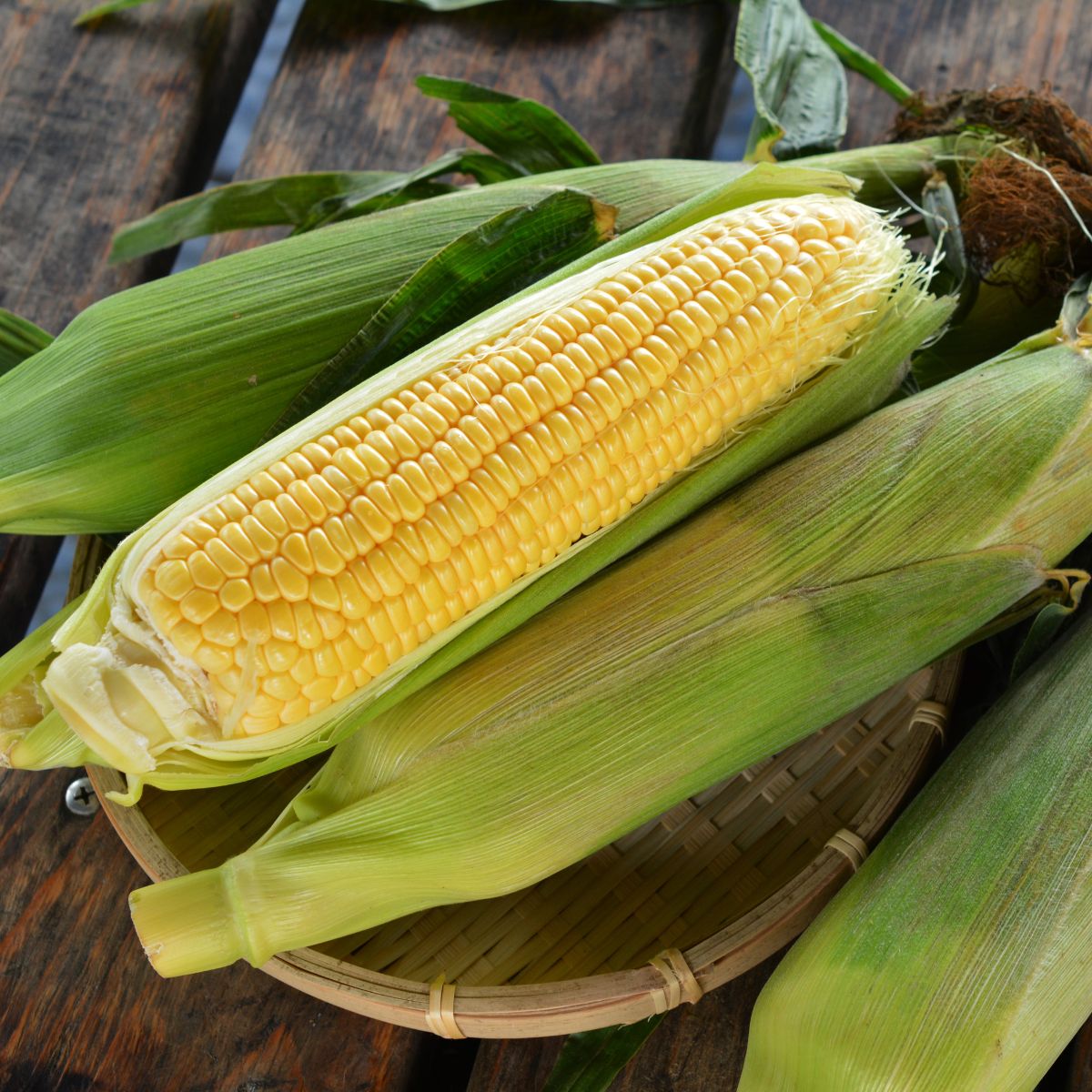 【ふるさと納税】＜2026年8月下旬よりお届け＞【朝採り】北海道壮瞥町産　とうもろこし恵味（めぐみ）Lサイズ以上約10kg（22～25本）【 ふるさと納税 人気 とうもろこし 恵味 めぐみ コーン 朝採り スープ 野菜 旬 甘い 新鮮 北海道産 北海道 壮瞥町 送料無料 】 SBTL013 - 画像2