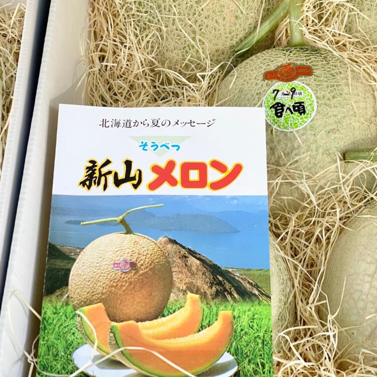 【ふるさと納税】＜2026年7月下旬よりお届け＞北海道壮瞥産 赤肉メロン（ニューキングメロン）2玉 約3kg ふるさと納税 人気 おすすめ ランキング メロン めろん ニューキングメロン 果物 甘い 赤肉 北海道 壮瞥町 送料無料 SBTN003 サムネイル3