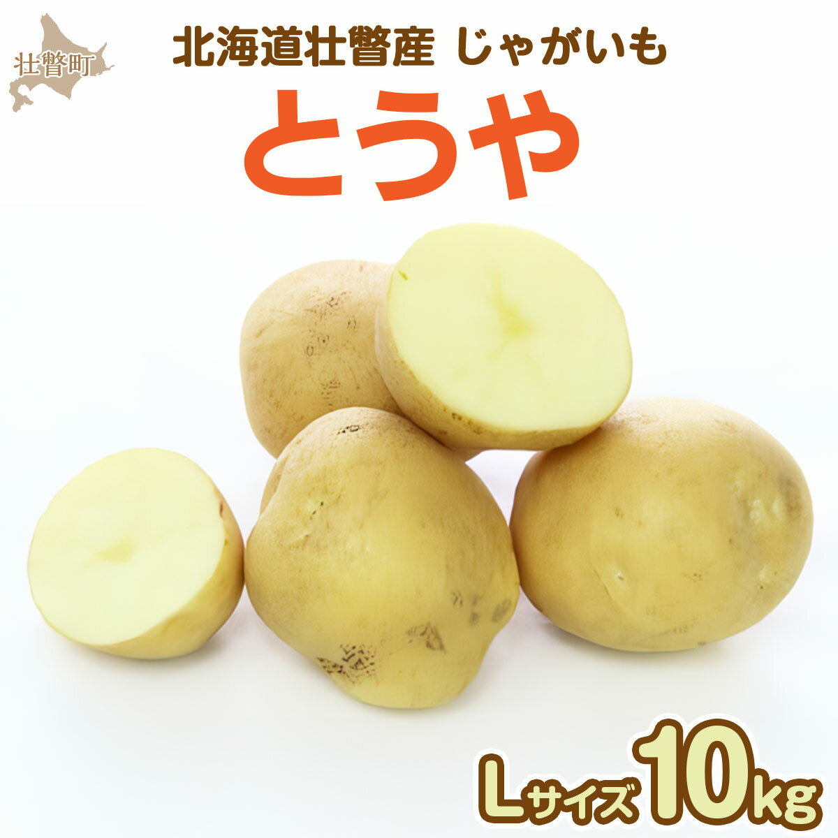 ＜2026年9月下旬よりお届け＞北海道壮瞥町産じゃがいも（とうや）Lサイズ10kg　【 ふるさと納税 人気 おすすめ ランキング 野菜 いも 芋 じゃがいも じゃが芋 ジャガイモ ポテト国産 おいしい 美味しい 北海道 壮瞥町 送料無料 】　SBTN005