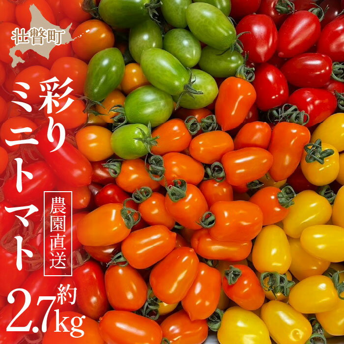 ＜2026年7月上旬よりお届け＞【農園直送】北海道壮瞥産 彩りミニトマト約2.7kg 【 ふるさと納税 人気 おすすめ ランキング トマト とまと ミニトマト 野菜 おいしい 大容量 北海道 壮瞥町 送料無料 】 SBTO004
