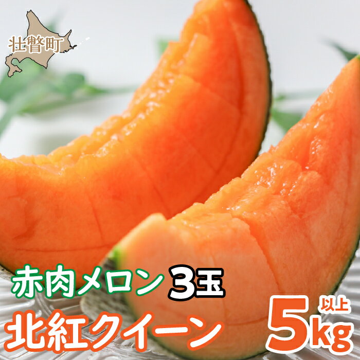 ＜2026年7月上旬よりお届け＞北海道壮瞥産 赤肉メロン「北紅クイーン」3玉入り 約5kg以上 【 ふるさと納税 人気 おすすめ ランキング メロン めろん 北紅クイーン 果物 甘い 赤肉 北海道 壮瞥町 送料無料 】SBTP005