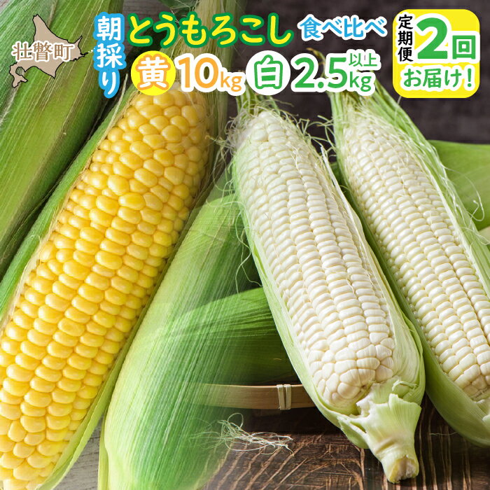 北海道壮瞥町 2回 定期便 8月上旬・8月下旬朝採り！壮瞥町産 とうもろこし黄・白 食べ比べ ふるさと納税 人気 おすすめ ランキング トウモロコシ とうもろこし ホワイトコーン ピュアホワイト 白い 野菜 甘い 定期便 北海道 壮瞥町 送料無料 SBTP011