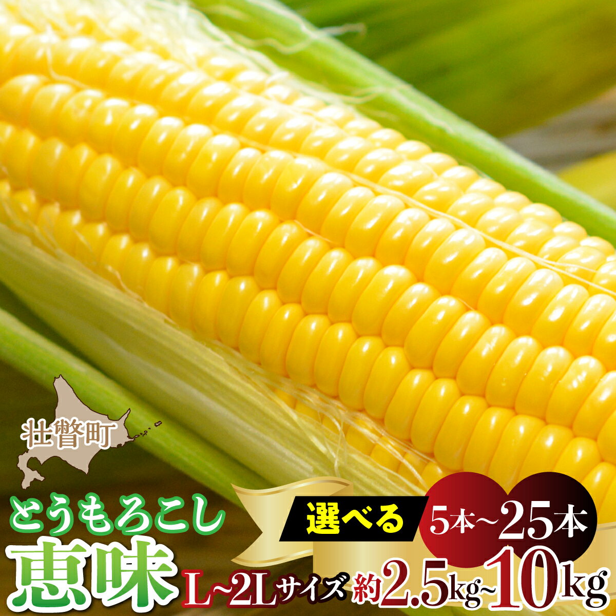 ＜2026年8月初旬よりお届け＞ 北海道壮瞥産とうもろこし 恵味 (めぐみ) L〜2Lサイズ【選べる 数量 】【ふるさと納税 人気 おすすめ ランキング トウモロコシ とうもろこし 恵味 野菜 甘い 北海道 壮瞥町 送料無料】