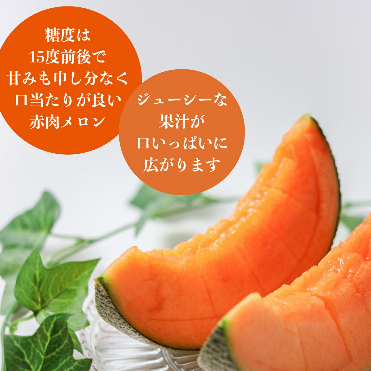 【ふるさと納税】＜2026年7月よりお届け＞2回お届け！赤肉メロン2玉ととうもろこし（恵味）22〜25本 【 ふるさと納税 人気 おすすめ ランキング メロン めろん トウモロコシ とうもろこし 野菜 果物 甘い 定期便 北海道 壮瞥町 送料無料 】 SBTP007 - 画像3