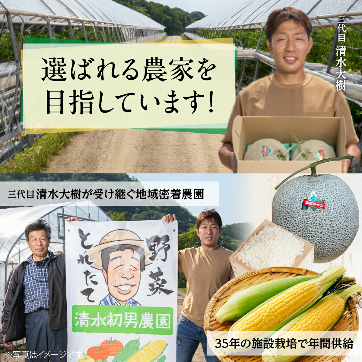 【ふるさと納税】【先行予約・朝もぎ直送】北海道壮瞥町産 とうもろこし（恵味）10kg 22～25本 L～2Lサイズ 8月初旬より順次お届け - 画像3