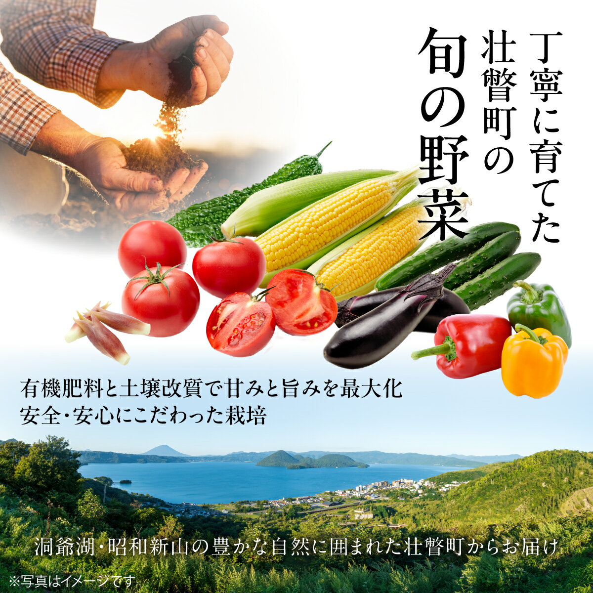 【ふるさと納税】【先行予約・朝もぎ直送】北海道壮瞥町産 とうもろこし（恵味）10kg 22～25本 L～2Lサイズ 8月初旬より順次お届け - 画像2