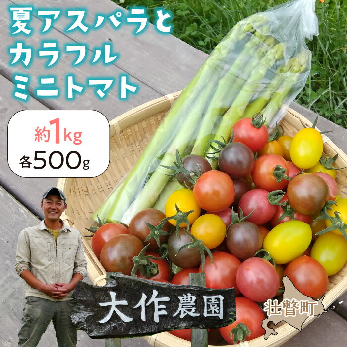 ＜2026年7月上旬よりお届け＞北海道壮瞥町産　大作農園「夏アスパラとカラフルミニトマト」のセット約1kg 先行予約 ふるさと納税 人気 おすすめ ランキング アスパラ あすぱら トマト とまと ミニトマト 野菜 セット 北海道 壮瞥町 送料無料 SBTR004