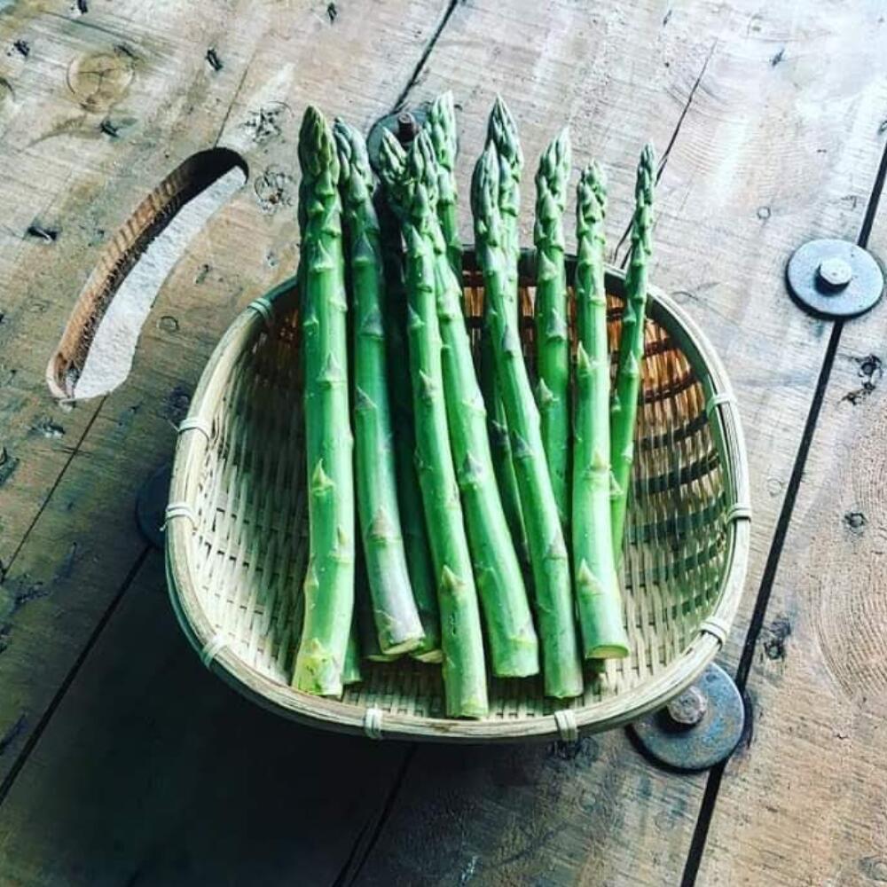 【ふるさと納税】＜2026年7月上旬よりお届け＞北海道壮瞥町産　大作農園「夏アスパラとカラフルミニトマト」のセット約1kg 先行予約 ふるさと納税 人気 おすすめ ランキング アスパラ あすぱら トマト とまと ミニトマト 野菜 セット 北海道 壮瞥町 送料無料 SBTR004 - 画像2