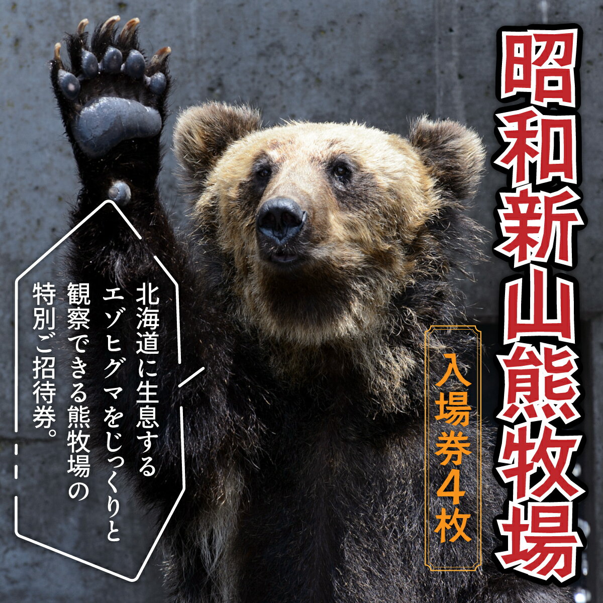 昭和新山熊牧場入場券4枚 【 ふるさと納税 人気 おすすめ ランキング チケット 入場券 昭和新山 熊牧場 熊 クマ くま エゾヒグマ ヒグマ 観光 北海道 壮瞥町 送料無料 】 SBTZ001