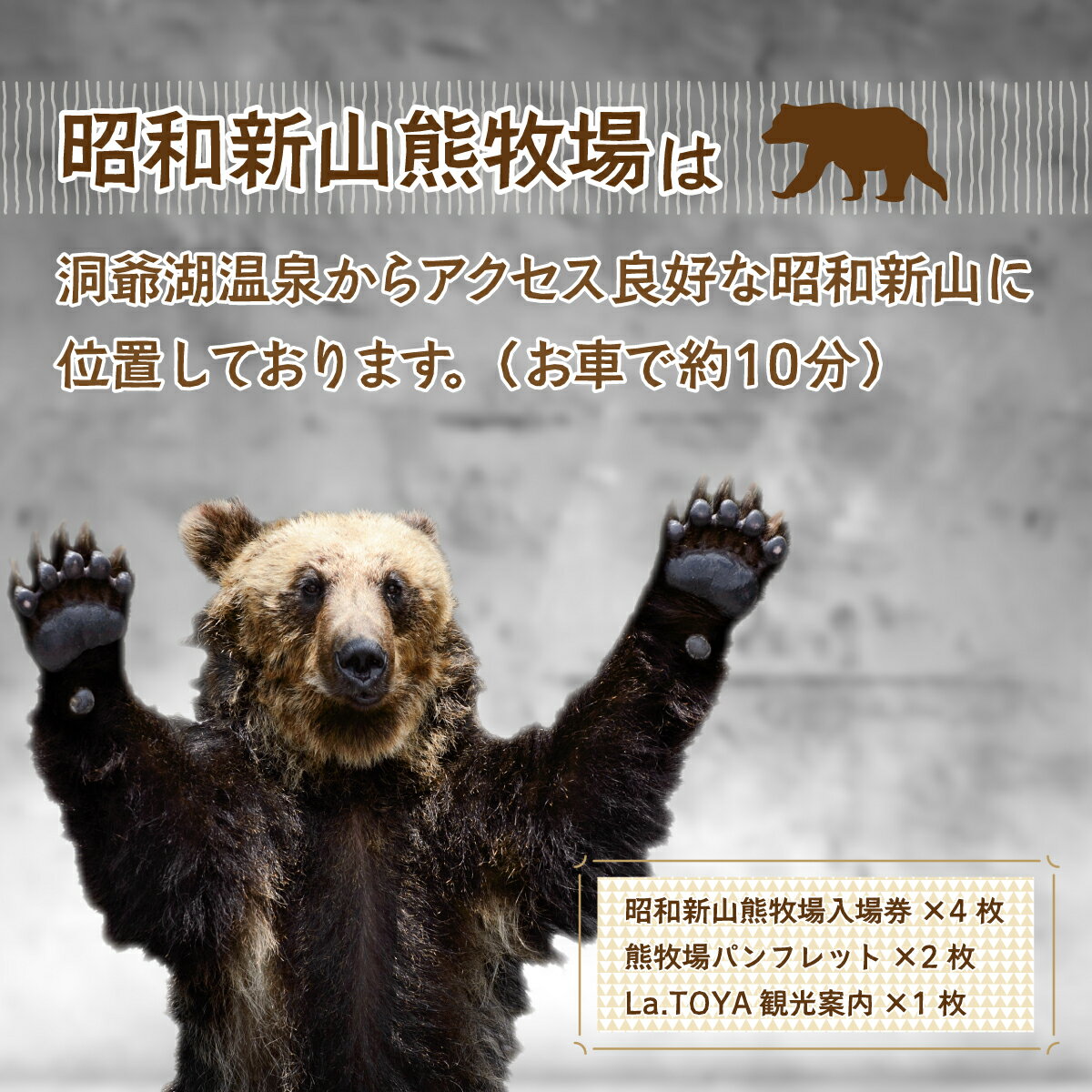 【ふるさと納税】昭和新山熊牧場入場券4枚 【 ふるさと納税 人気 おすすめ ランキング チケット 入場券 昭和新山 熊牧場 熊 クマ くま エゾヒグマ ヒグマ 観光 北海道 壮瞥町 送料無料 】 SBTZ001 サムネイル3
