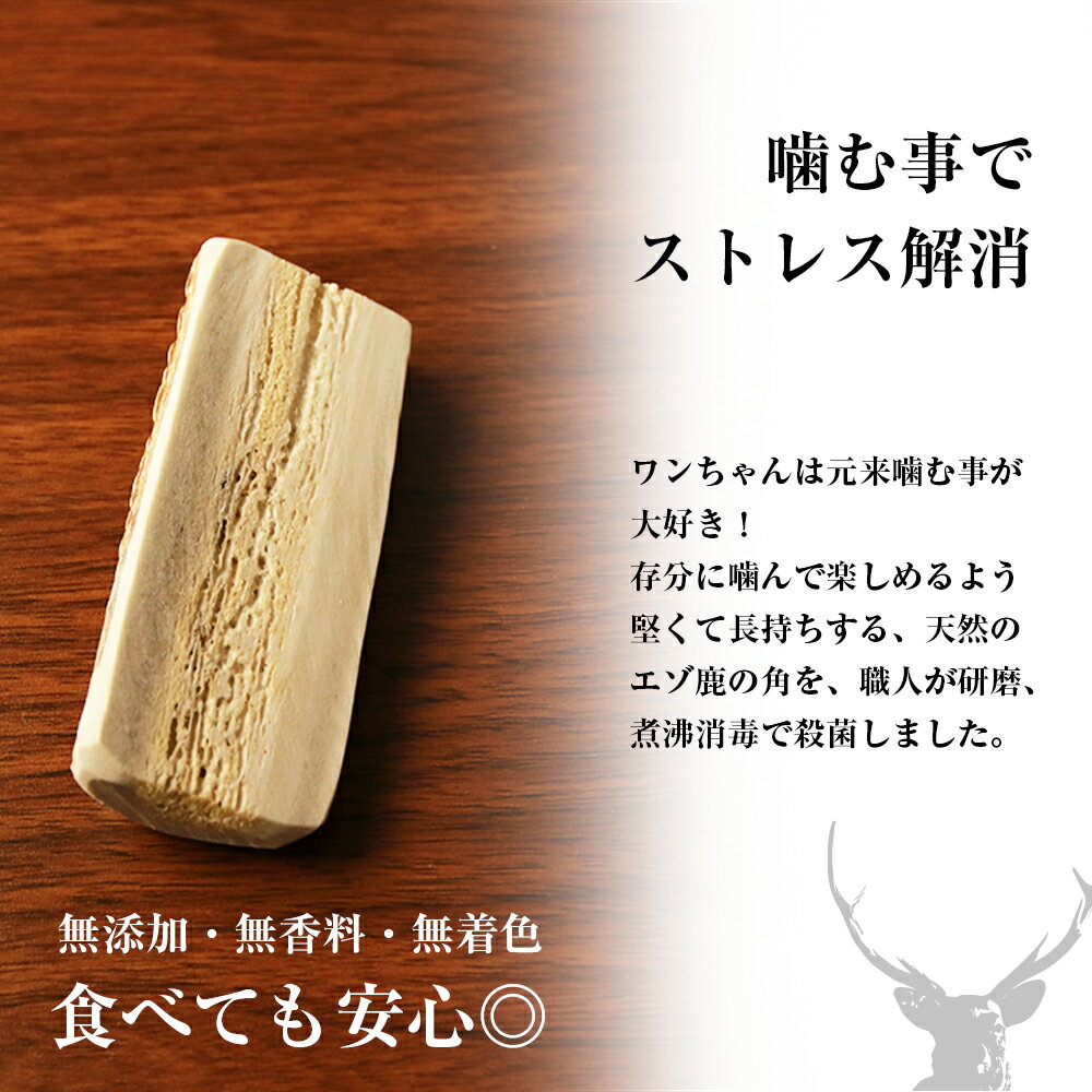 【ふるさと納税】犬のおやつ・歯固めに！エゾシカ角 約8cm×1本（小型犬用）犬 ペット 小型犬 おもちゃ おやつ 歯固め エゾシカ ドッグガム 北海道 北海道ふるさと納税 白老 ふるさと納税 北海道 サムネイル2