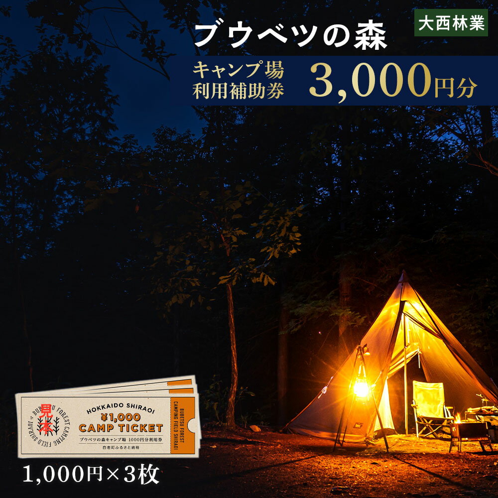 キャンプ場 利用補助券 ブウベツの森 北海道 白老町 （3000円分）キャンプ場 レジャー アウトドア 施設 チケット 利用補助券 北海道ふるさと納税 白老 ふるさと納税 北海道 体験