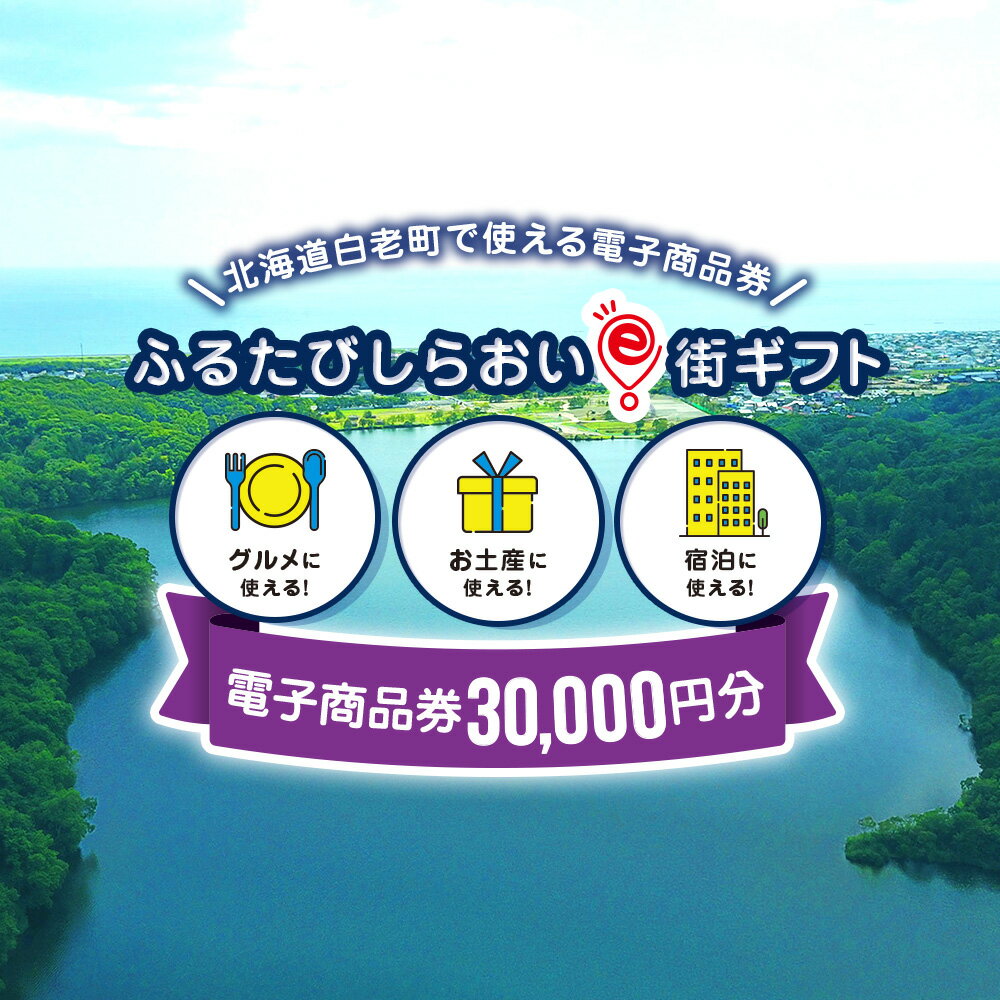 ふるたびしらおいe街ギフト　30,000円分白老町 旅行 北海道旅行 チケット 電子商品券 ふるさと納税 旅行