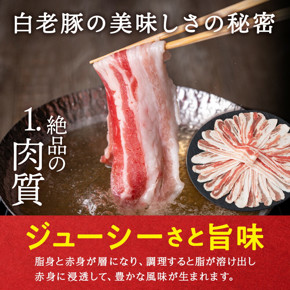 【ふるさと納税】【最短5日以内発送】北海道産 白老豚 バラ スライス 選べる2パック〜8パック 1パック300g 計600g〜2.4kgバラ バラ肉 豚ばら 豚肉 白老豚 白老 北海道 北海道ふるさと納税 白老 ふるさと納税 小分け 豚肉セット サムネイル3