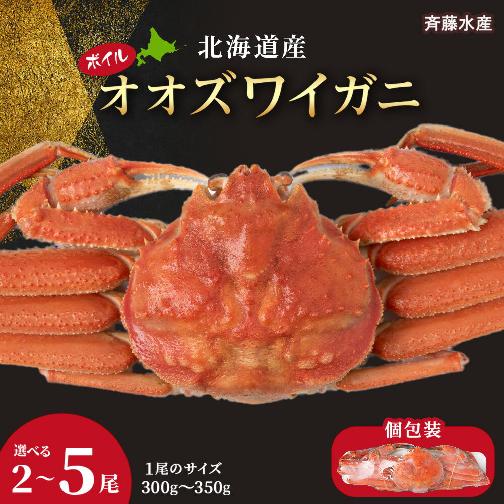 北海道産 オオズワイガニ 選べる2尾〜5尾 1尾300g〜350g ＜特大2尾＞ オオズワイガニ ボイル AM113冷凍 オオズワイガニ おおずわい蟹 姿 北海道ふるさと納税 白老 ふるさと納税 北海道 年末