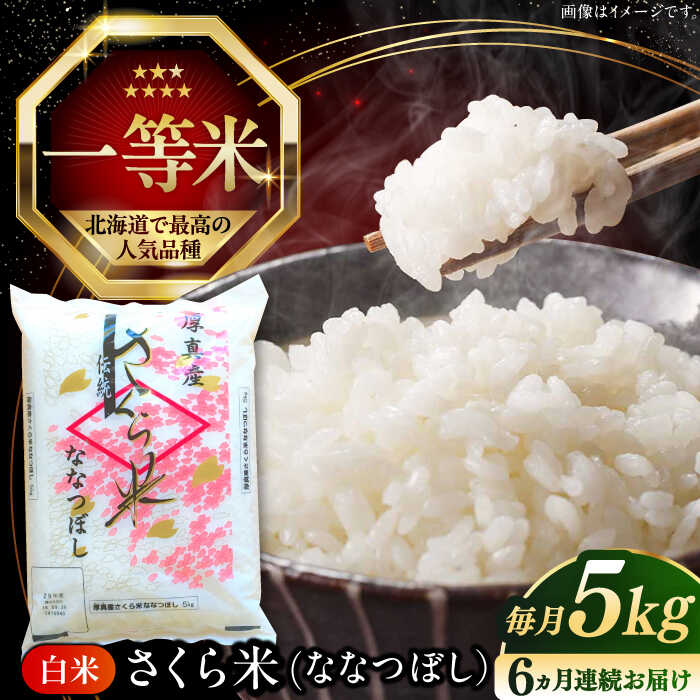 新米 令和7年産 米 5kg 全6回 定期便 特A さくら米 ななつぼし 北海道 白米 《厚真町》【とまこまい広域農業協同組合】 6ヵ月 連続 毎月 米 お米 白米 ななつぼし 特A 一等米 北海道[AXAB029]