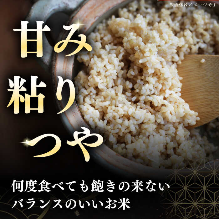【ふるさと納税】 新米 令和7年産 玄米 10kg 特A さくら米 ななつぼし 北海道 《厚真町》【とまこまい広域農業協同組合】 米 お米 玄米 ご飯 ななつぼし 一等米 特A 北海道 [AXAB035] サムネイル2