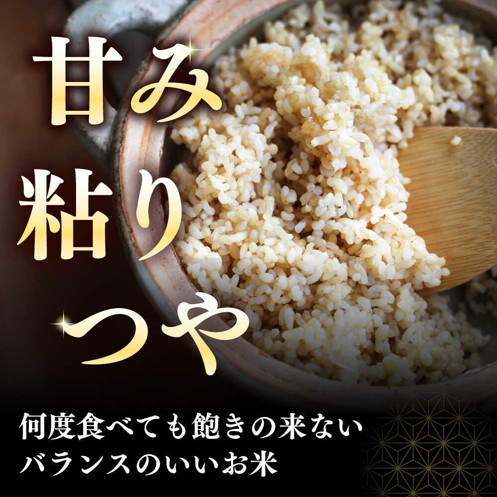 【ふるさと納税】令和7年産 玄米 10kg 特A さくら米 ななつぼし 北海道 《厚真町》【とまこまい広域農業協同組合】 米 お米 玄米 げんまい 10キロ ご飯 ななつぼし 一等米 特A 北海道 [AXAB035] - 画像2