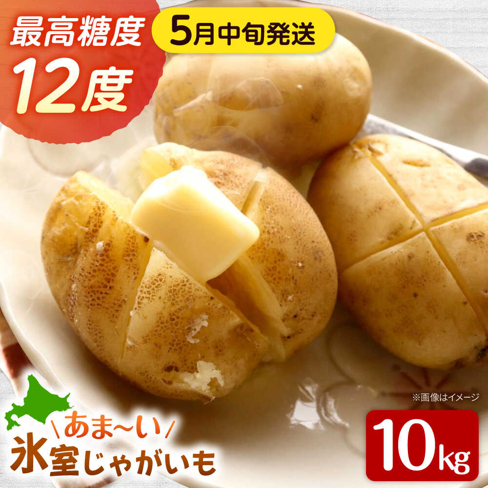 【先行予約商品】【5月中旬から発送予定！】氷室メークイン 10kg《厚真町》【とまこまい広域農業協同組合】 じゃがいも ジャガイモ 芋 メークイン 野菜 先行予約 北海道 [AXAB044] 12000 12000円